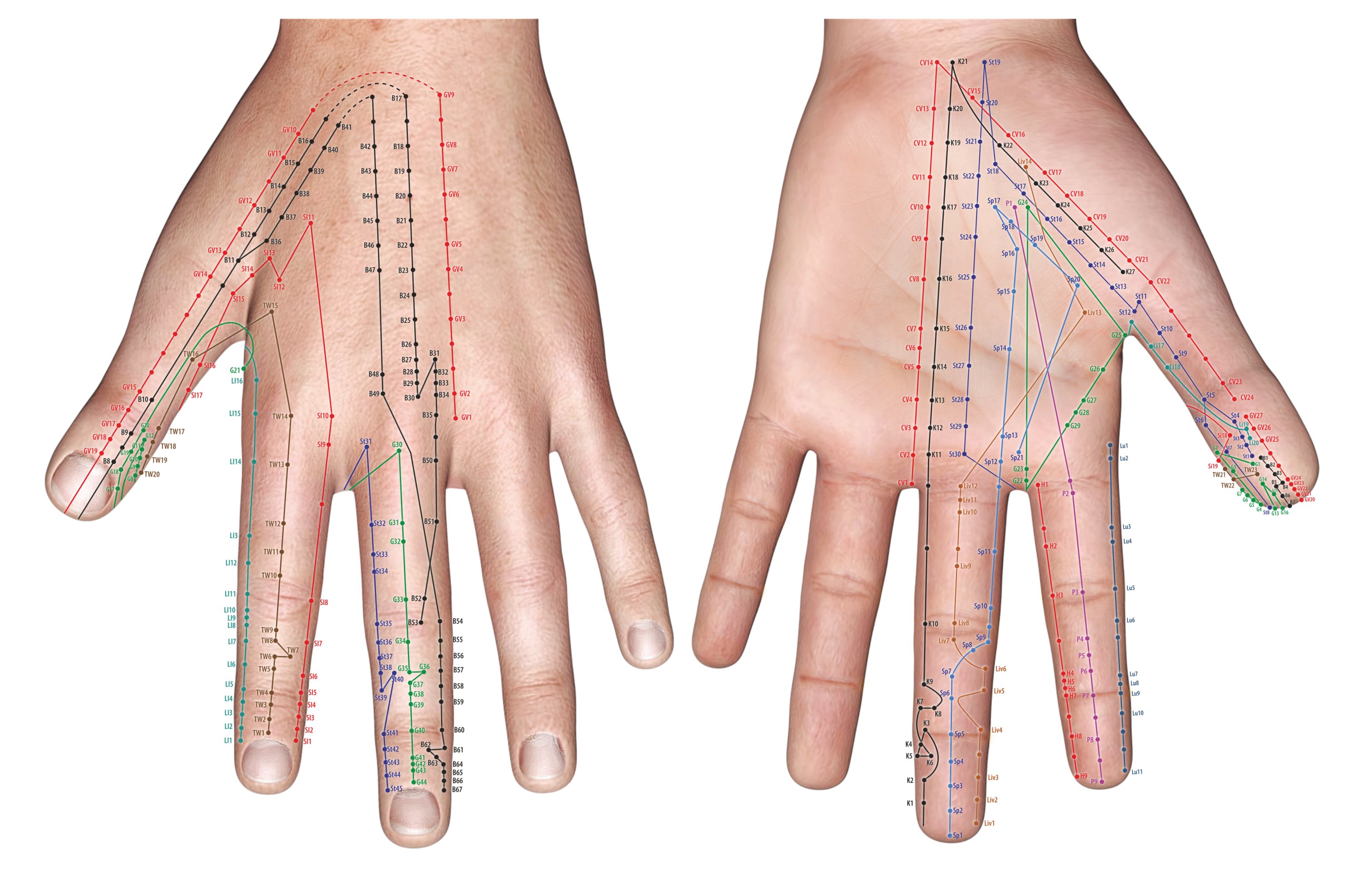 Byol Meridian Hand Chart